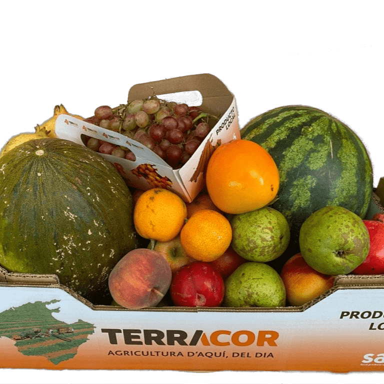 Imatge de Caixa Terracor amb fruites de temporada